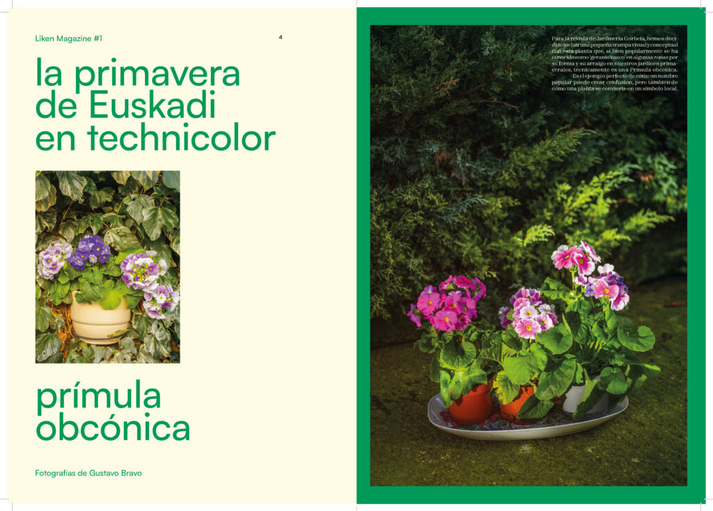 260518_plantilla_liken_A4_pliegos_Página_03