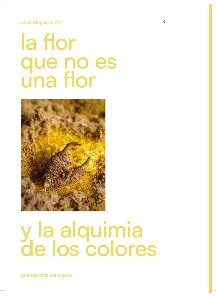 260710_plantilla_liken_A4_Página_06