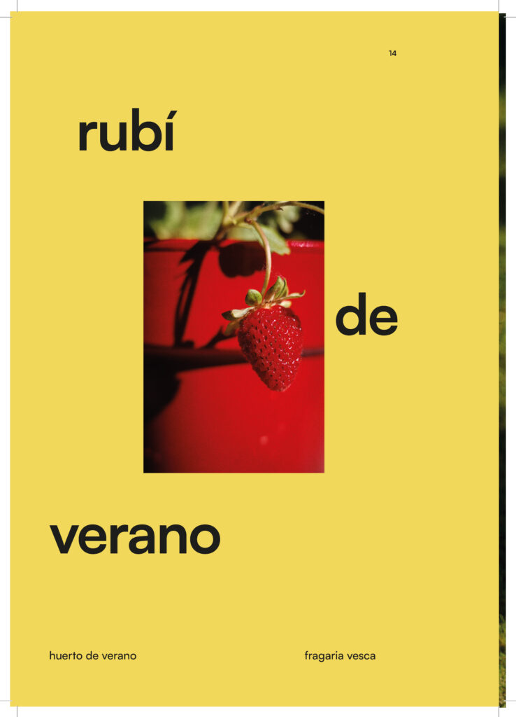 260710_plantilla_liken_A4_Página_14