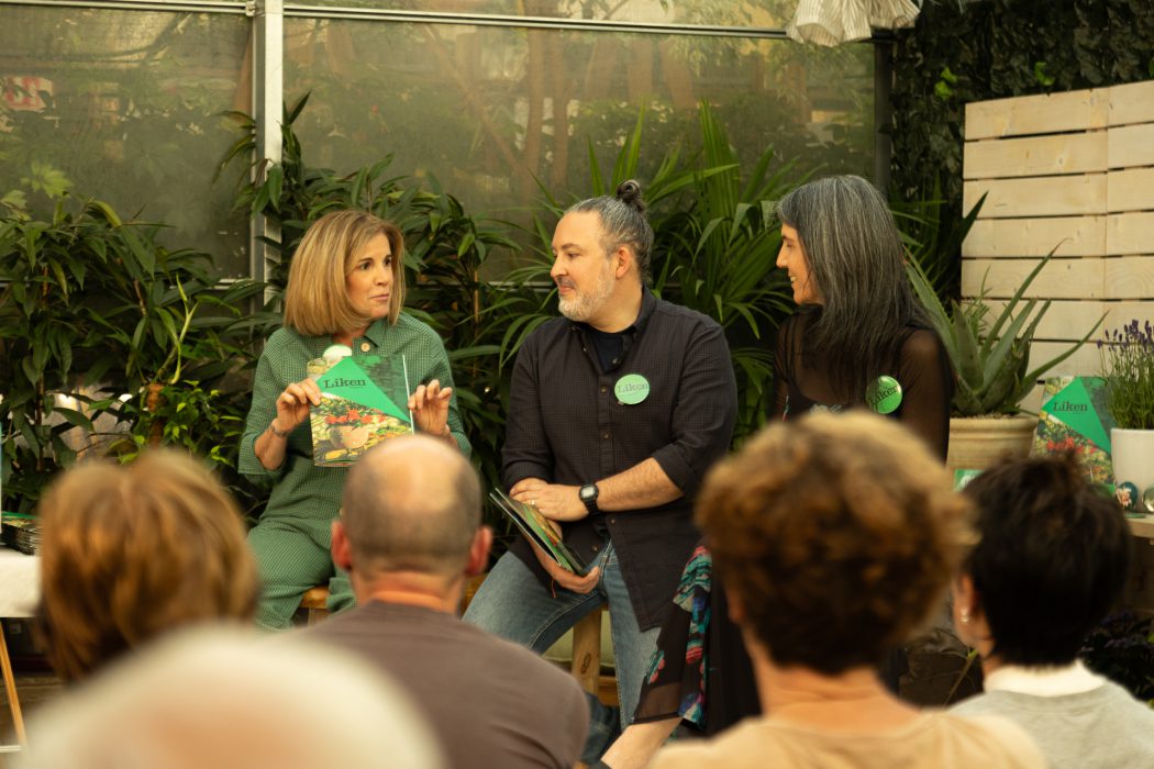Liken presentación Gorbeia-11