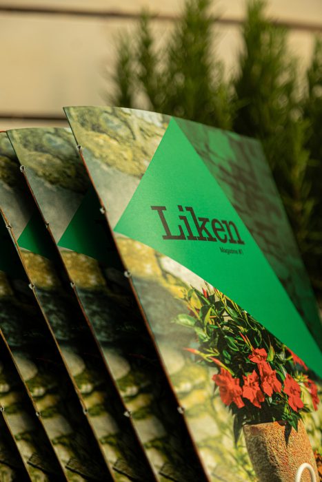 Liken presentación Gorbeia-6